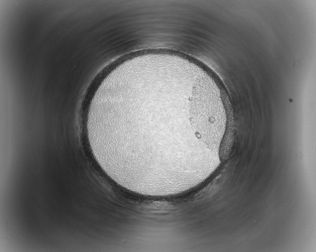 X0000088021119200706081436