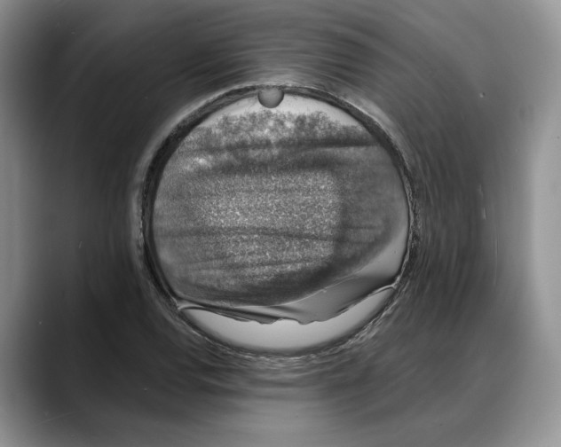 X0000088021120200706081436