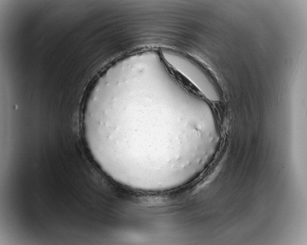 X0000088021121200706081436