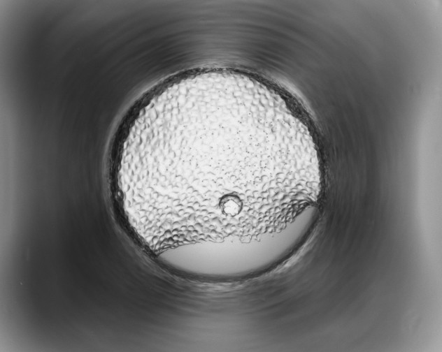 X0000088021122200706081436