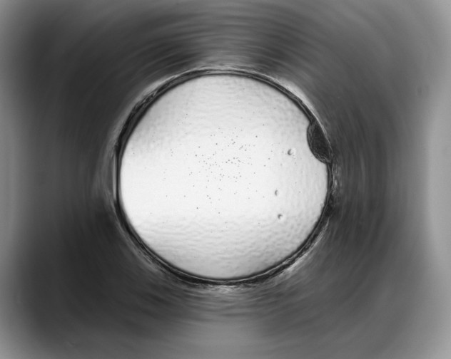 X0000088021123200706081436