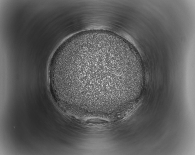 X0000088021124200706081436