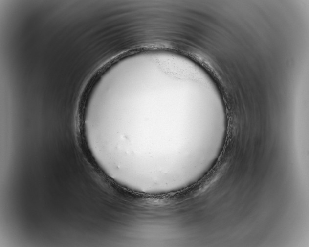 X0000088021125200706081436