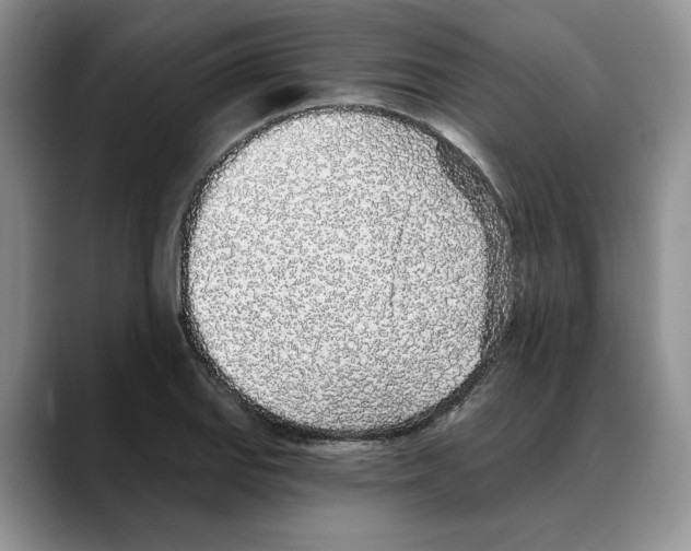 X0000088021127200706081436