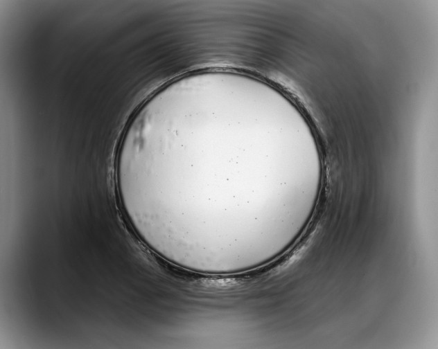 X0000088021129200706081436