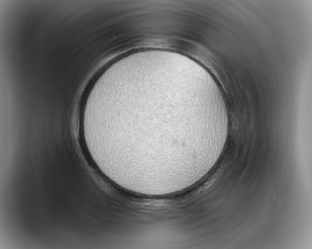 X0000088021131200706081436