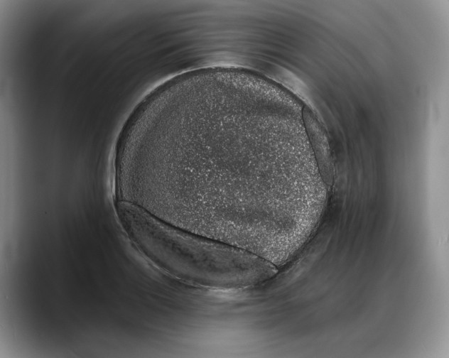 X0000088021132200706081436