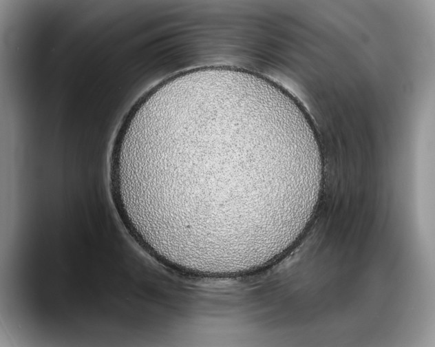 X0000088021135200706081436