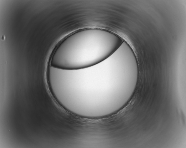 X0000088021136200706081436