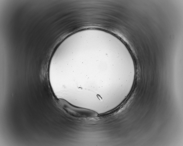 X0000088021137200706081436