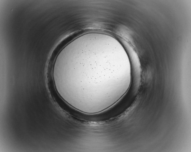 X0000088021138200706081436