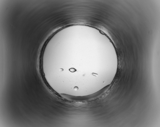 X0000088021139200706081436