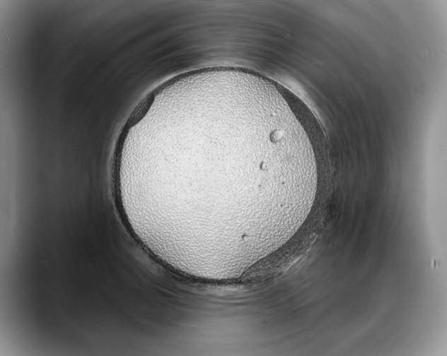 X0000088021140200706081436