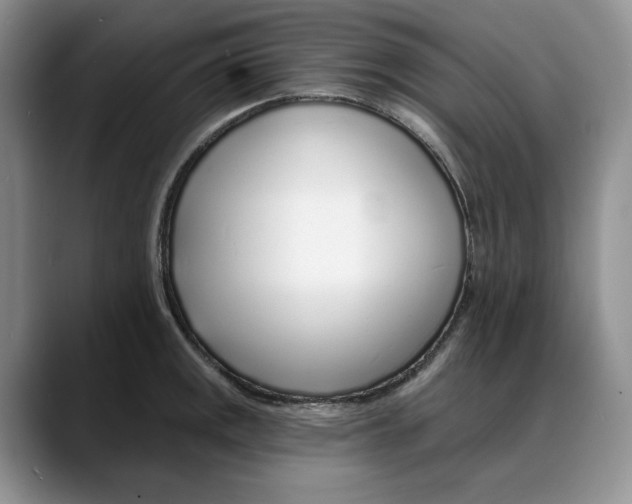 X0000088021141200706081436