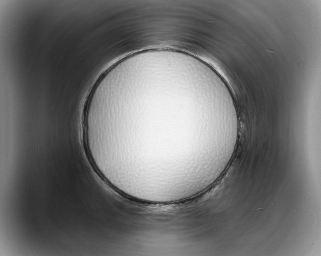 X0000088021143200706081436