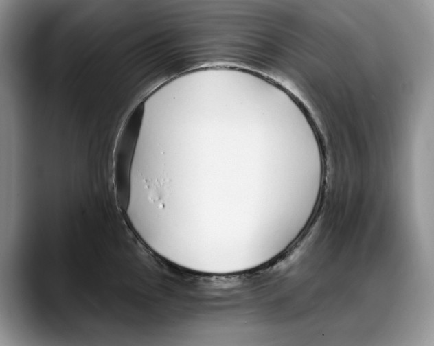 X0000088021145200706081436