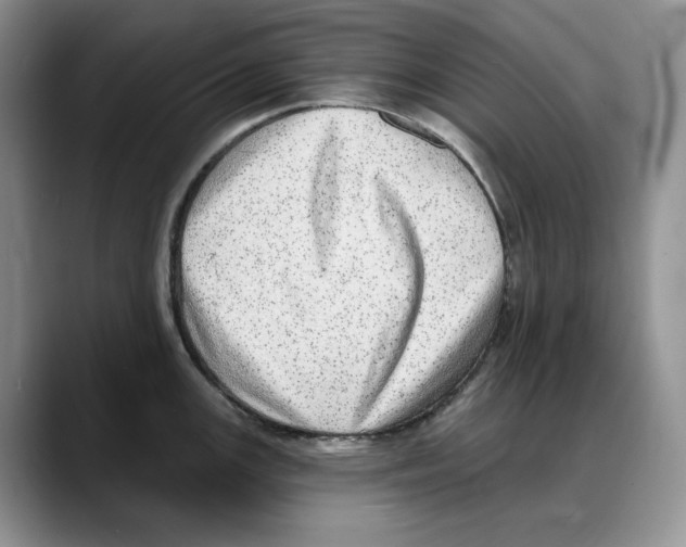 X0000088021147200706081436