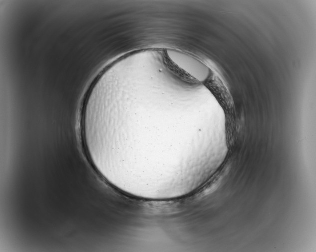 X0000088021149200706081436