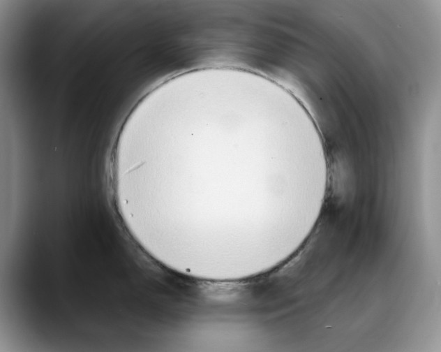 X0000088021150200706081436