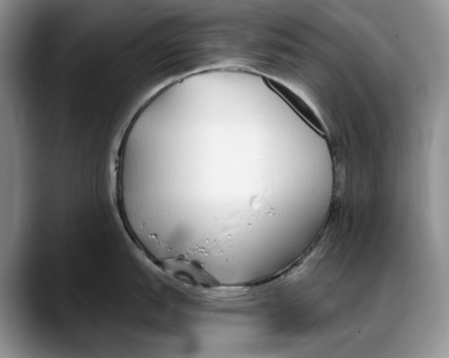 X0000088021151200706081436