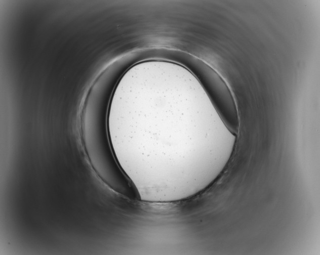 X0000088021152200706081436