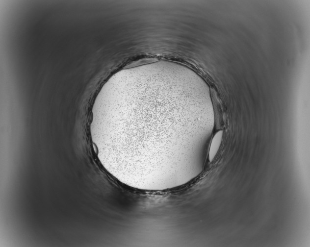 X0000088021153200706081435