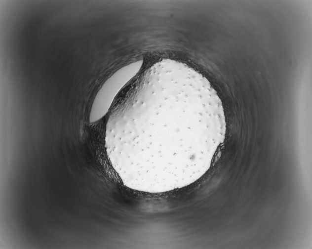 X0000088021156200706081435