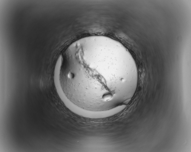 X0000088021157200706081435