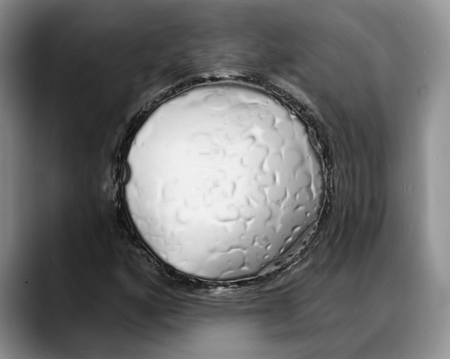 X0000088021160200706081435