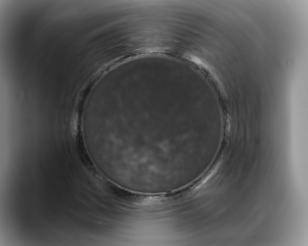 X0000088021161200706081435