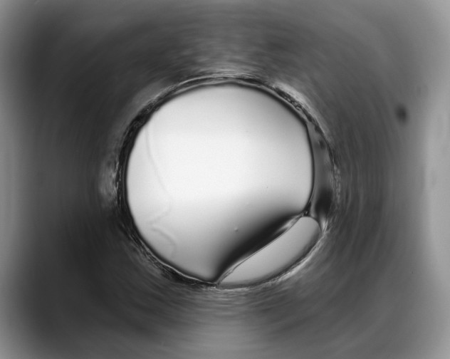 X0000088021163200706081435