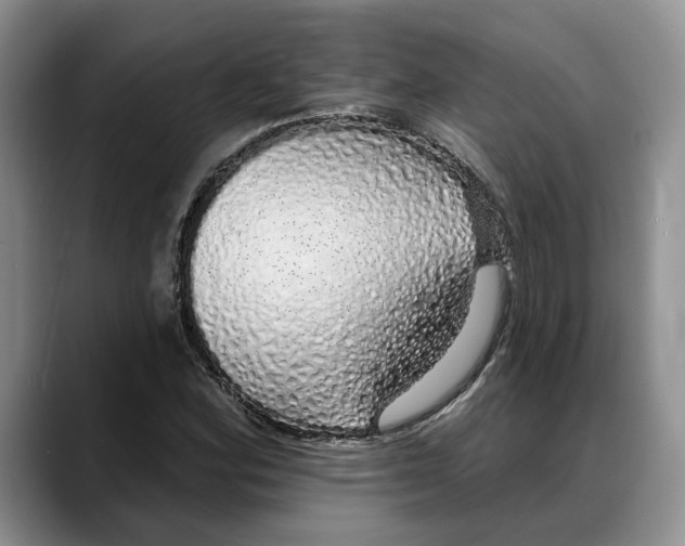 X0000088021164200706081435