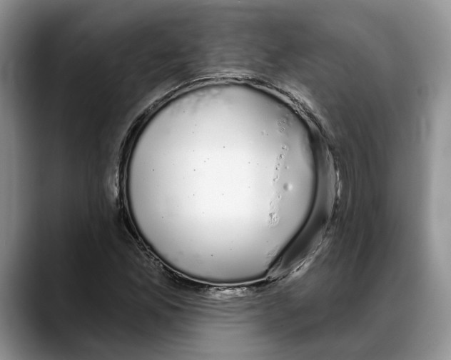 X0000088021165200706081435