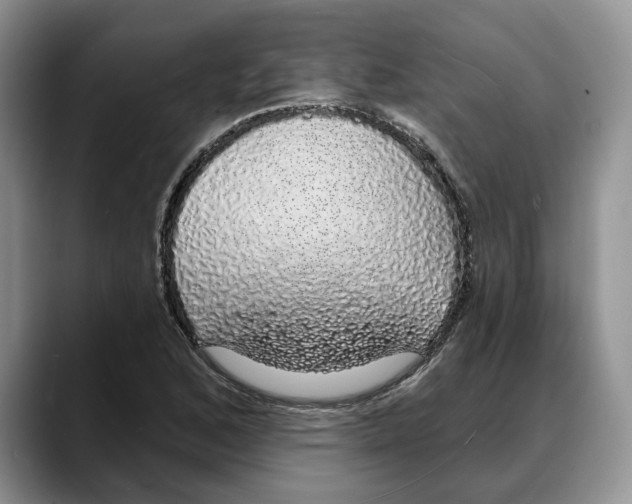 X0000088021168200706081435