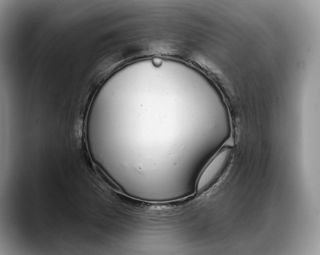 X0000088021169200706081435