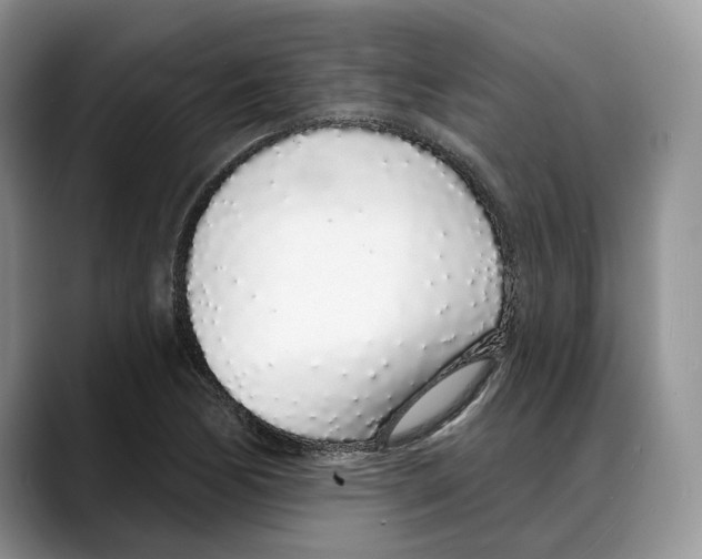 X0000088021170200706081435