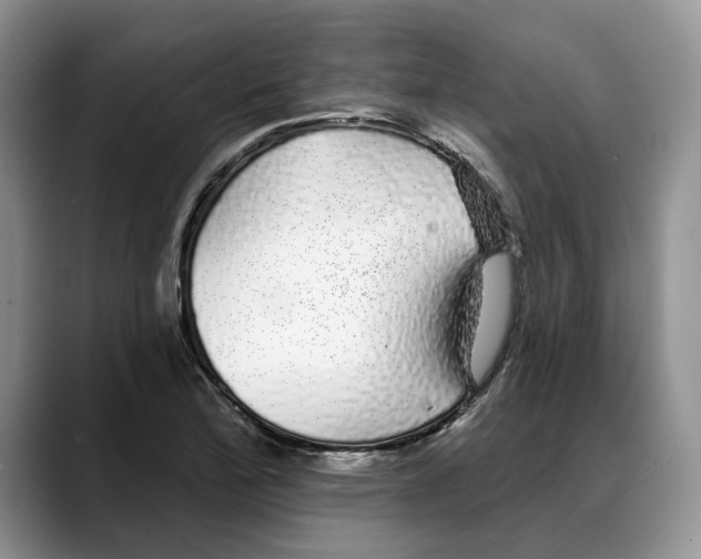 X0000088021172200706081435