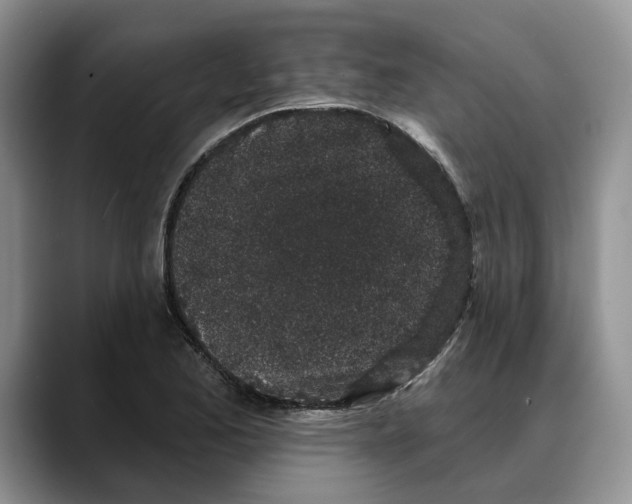 X0000088021173200706081435