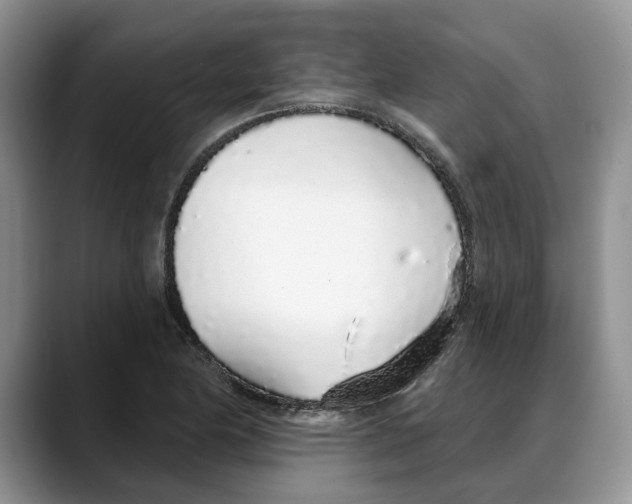 X0000088021174200706081435