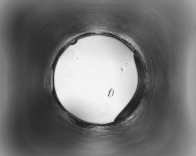 X0000088021175200706081435