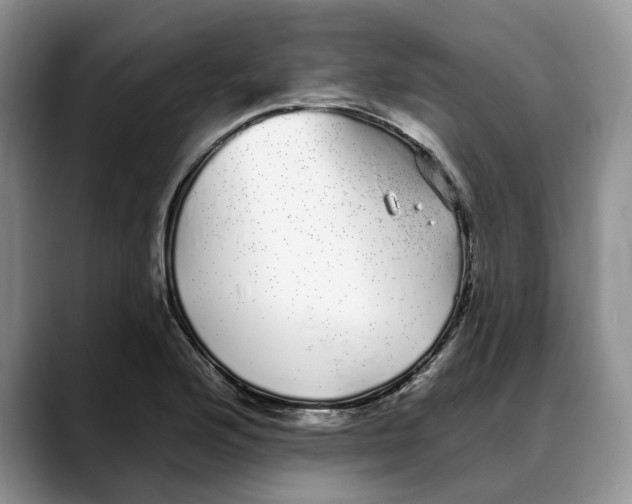 X0000088021176200706081435