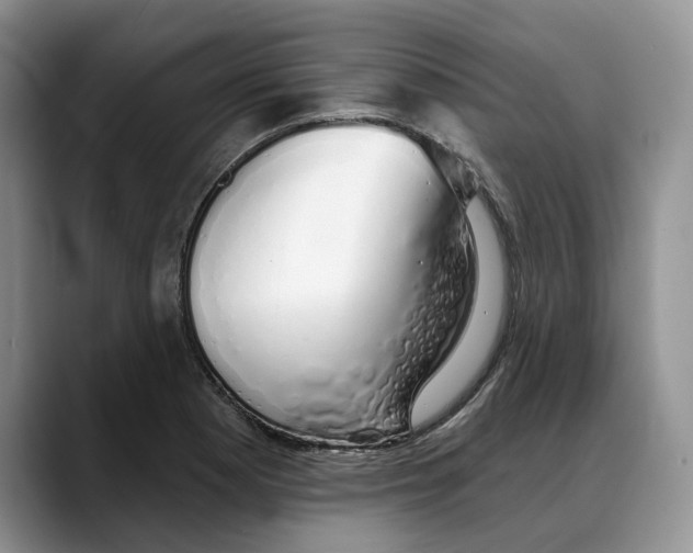 X0000088021177200706081435