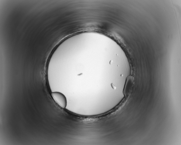 X0000088021178200706081435