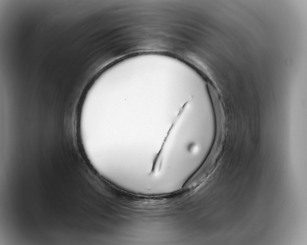 X0000088021179200706081435