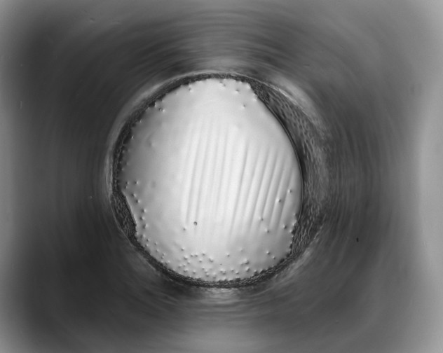 X0000088021180200706081435