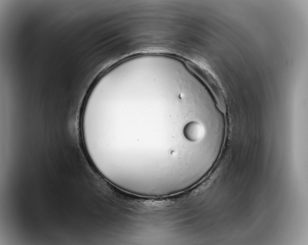 X0000088021181200706081435