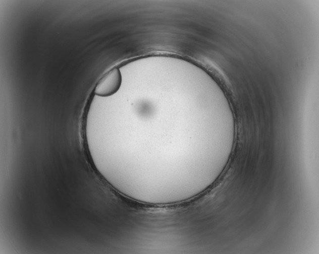 X0000088021182200706081435