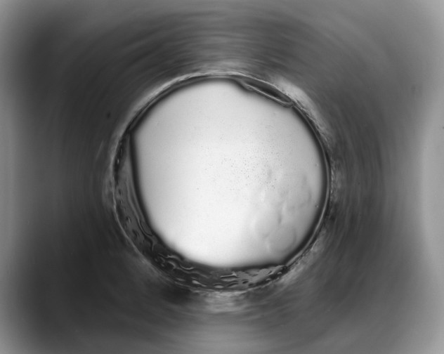 X0000088021184200706081435