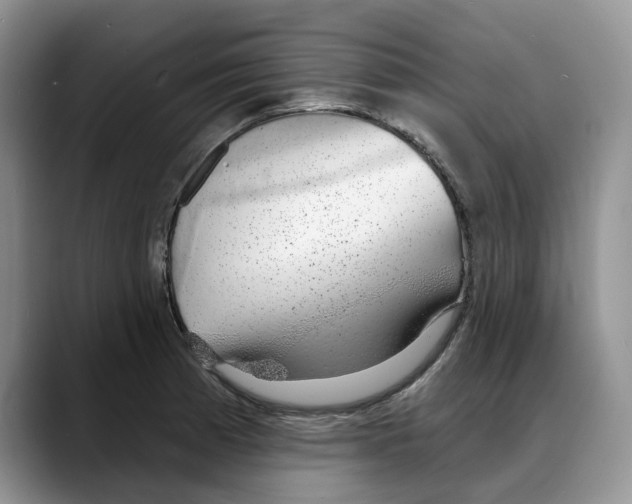 X0000088021185200706081435