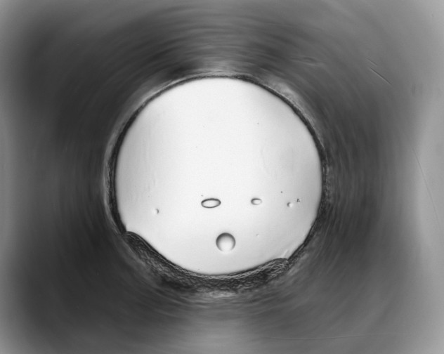 X0000088021187200706081435